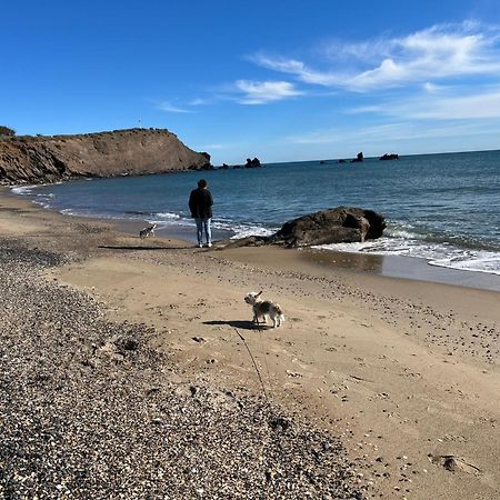 34300 Le Cap D'Agde Apartment Bagian luar foto