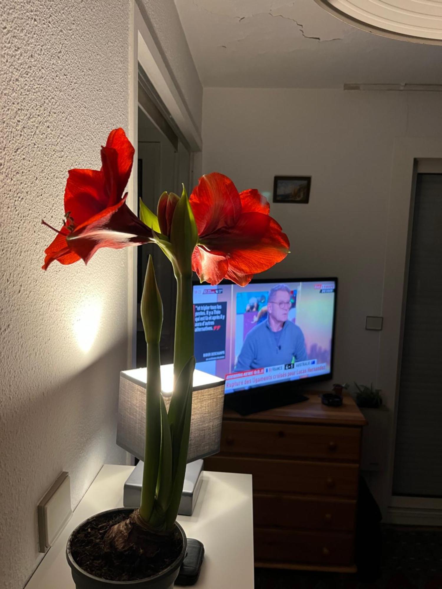 34300 Le Cap D'Agde Apartment Bagian luar foto